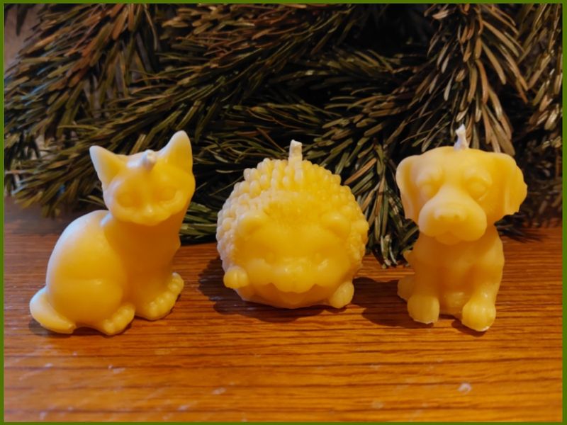 Wachtigel Kerzenset "Tierische Freunde" Wachtigel Kerzenset "Tierische Freunde"