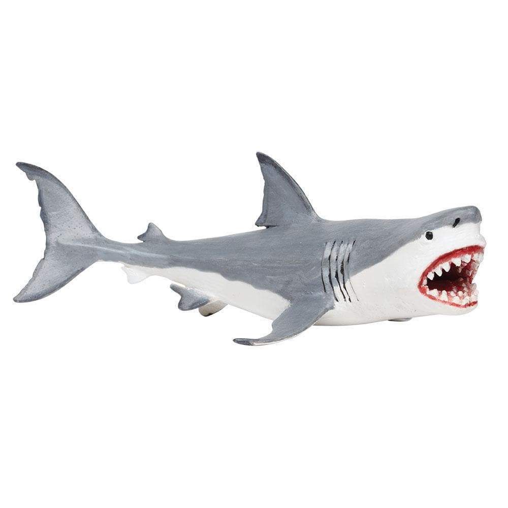 Megalodon