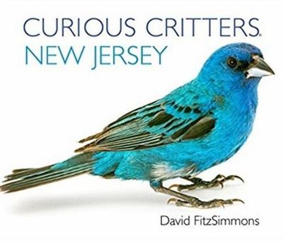 Curious Critters: New Jersey