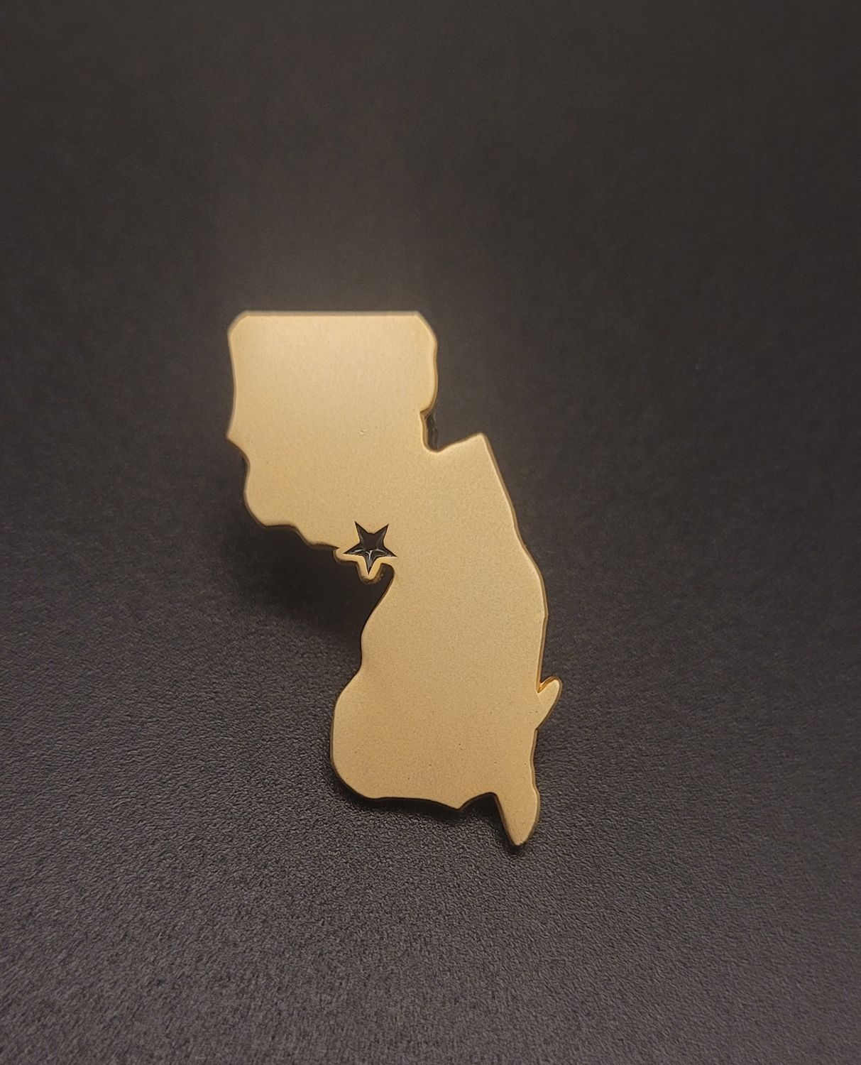 A golden metallic lapel pin in the shape of New Jersey with a star marking the location of Trenton