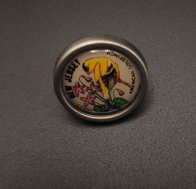 A lapel pin featuring a goldfinch and a violet and the words 'New Jersey'