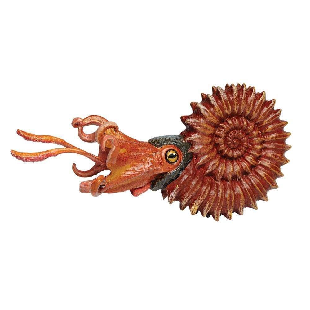 Ammonite Figure