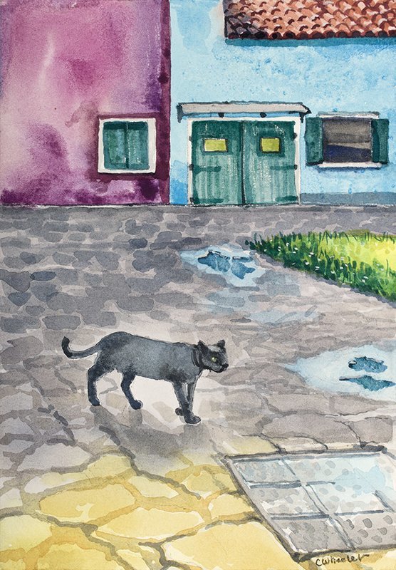 Burano Cat