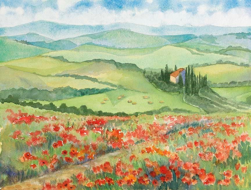 Poppy View in San Quirico, Tuscany Italy Poppy View in San Quirico, Tuscany Italy
