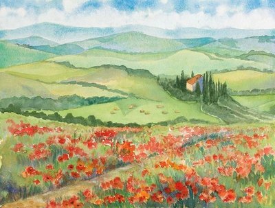 Poppy View in San Quirico, Tuscany Italy