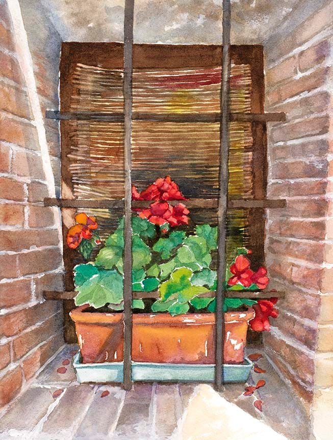 Geraniums in Window in Montepulciano Geraniums in Window in Montepulciano