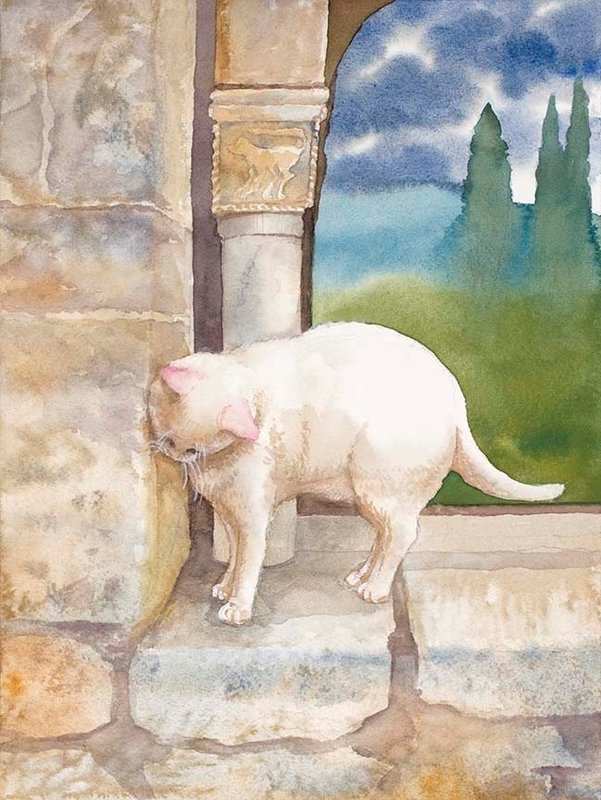 Abbey Cat in Sant&#39;Antimo