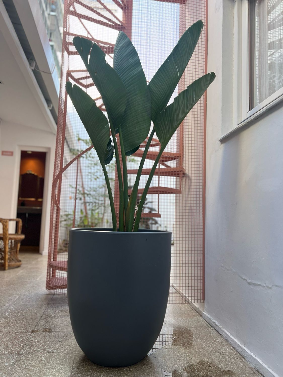 Maceta Copa N70 Gris 0034