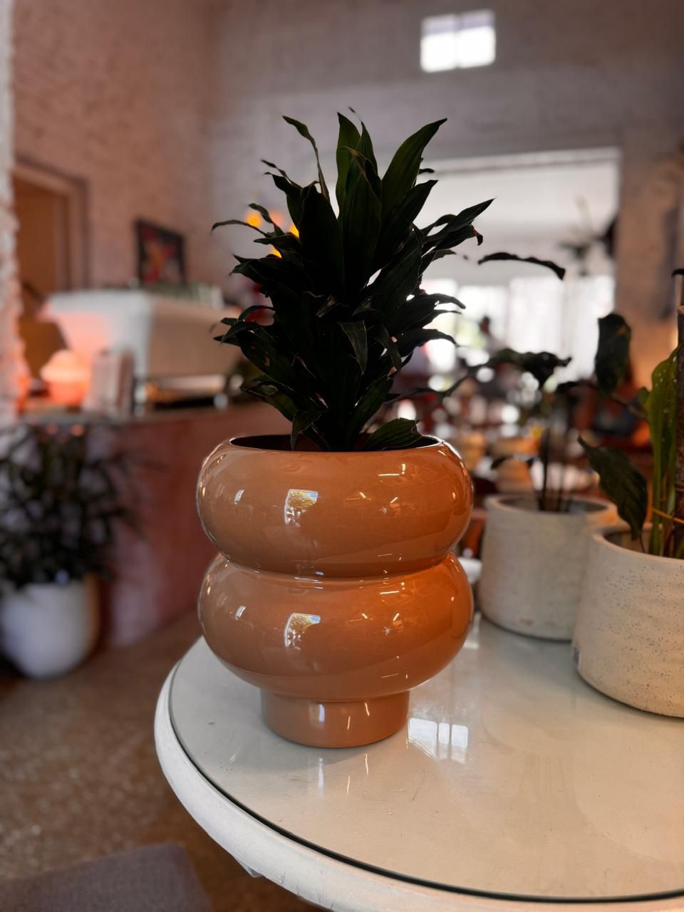 Maceta Sienna Grande