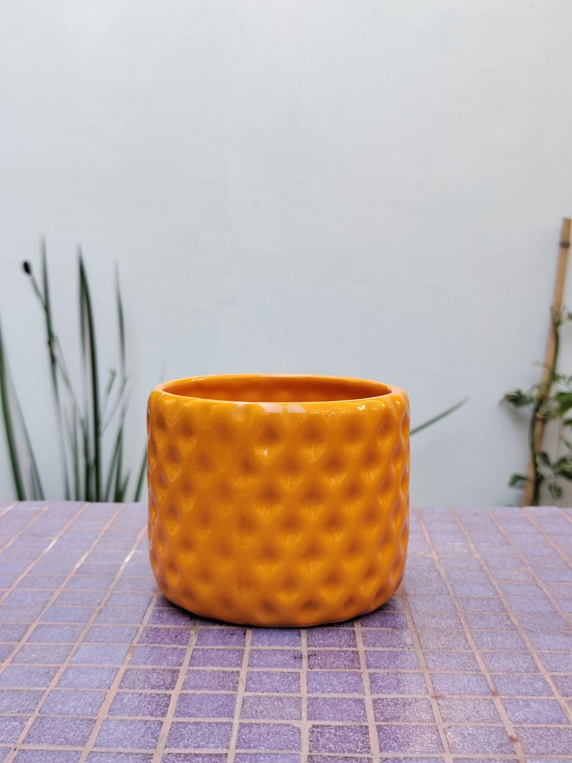Maceta Piña