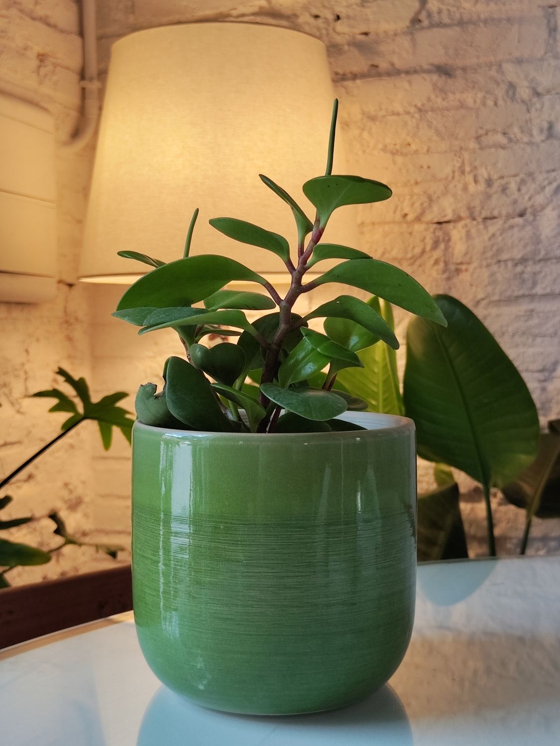 Portamaceta Manzana Mediana