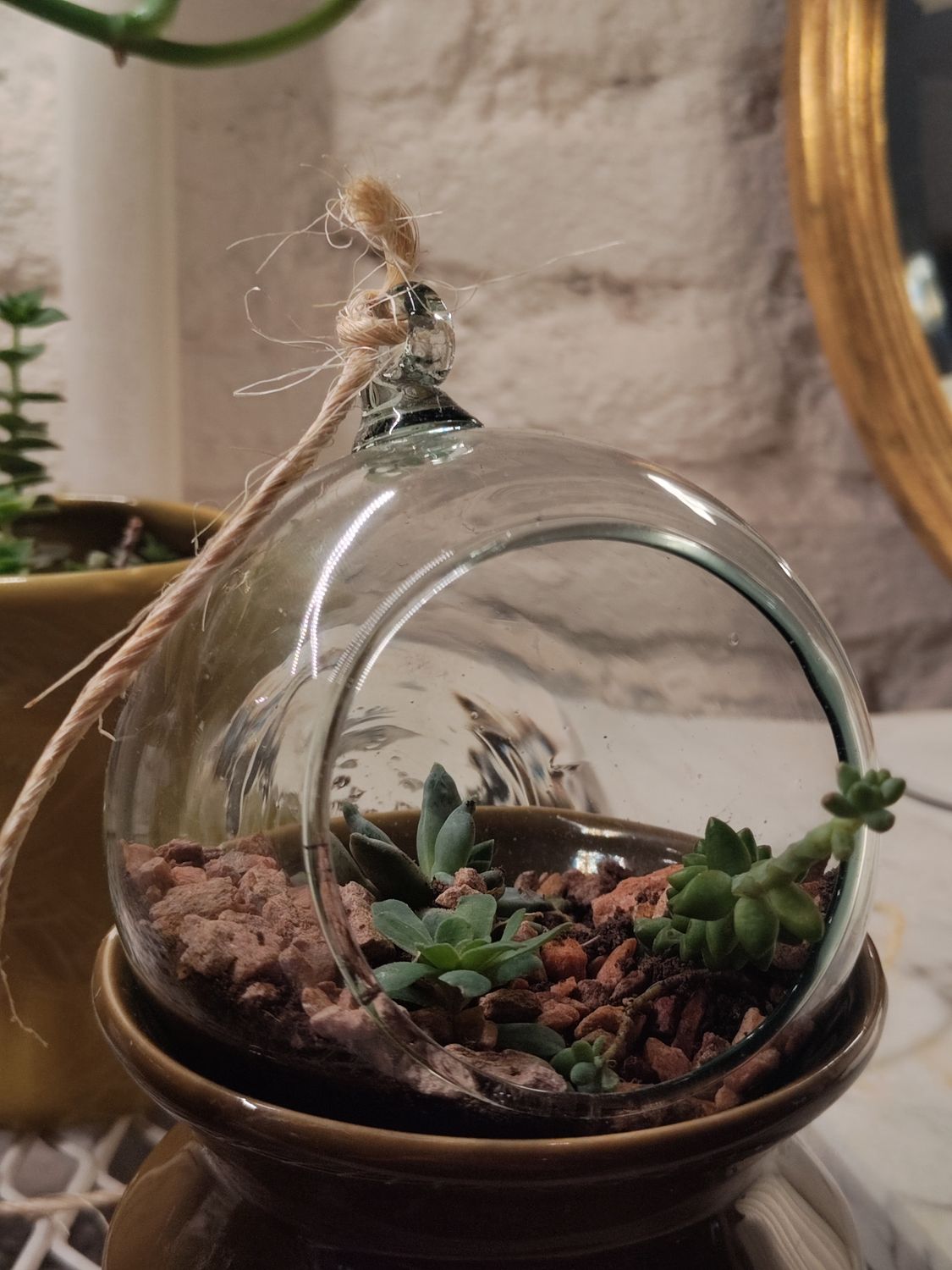 Terrario de vidrio