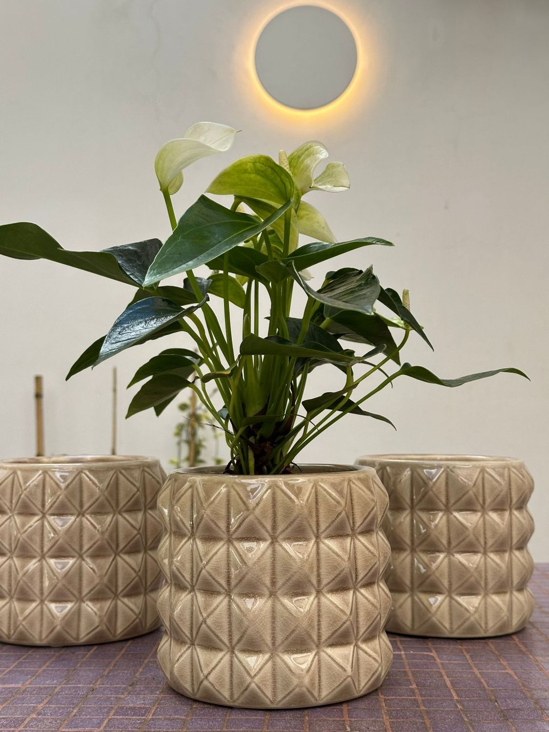 Maceta Relieve Ambar L