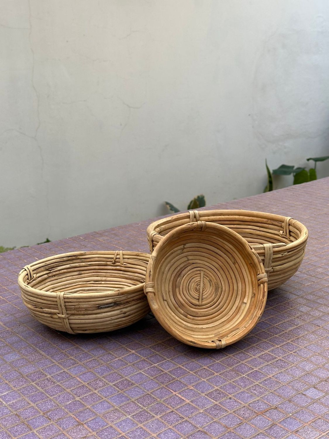Frutera Set X3 24-20-16 CM