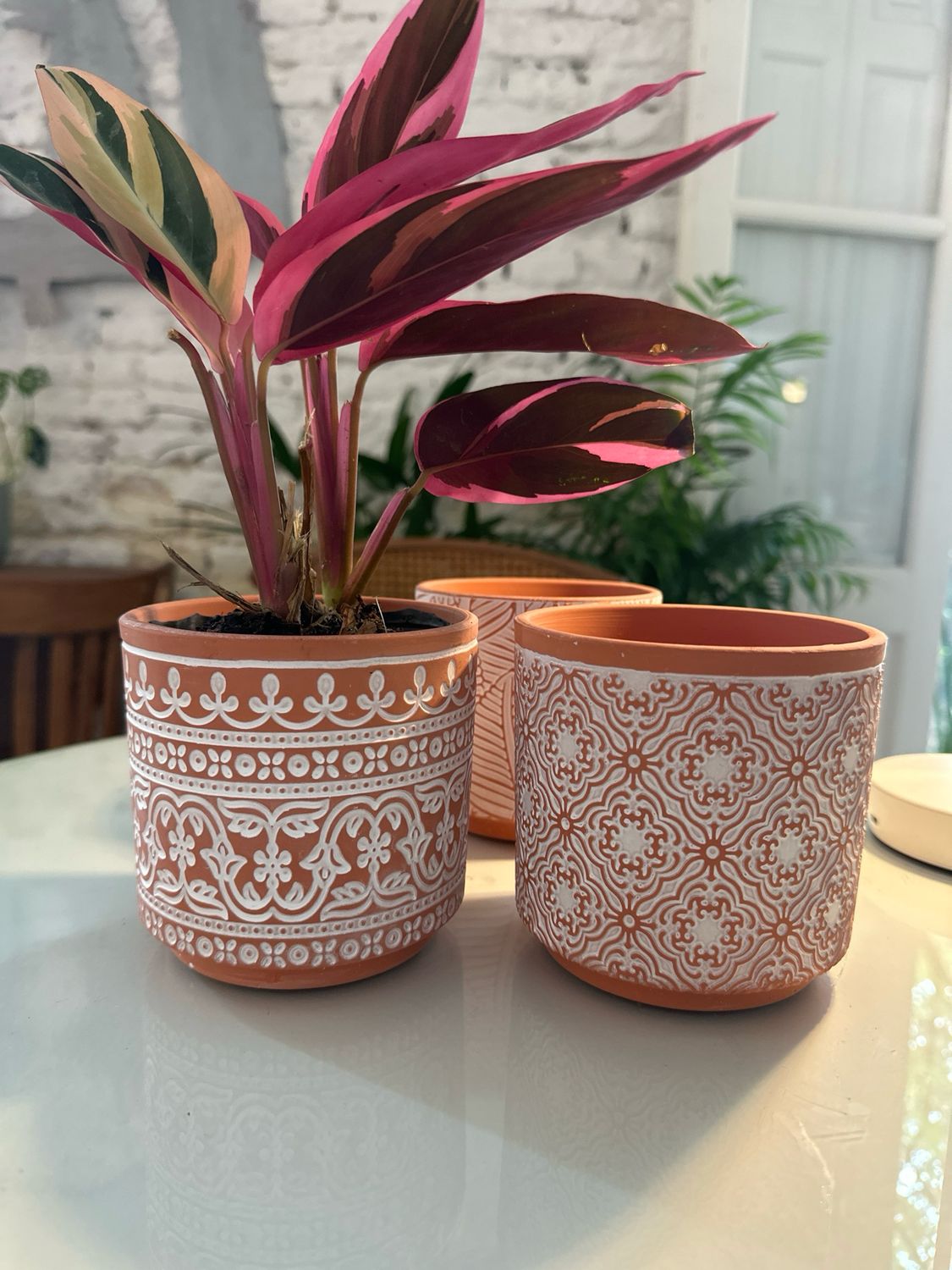 Maceta Indian S