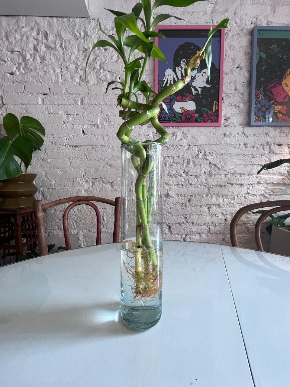 Vidrio Tubin 28 cm