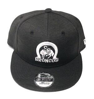 Adult Charcoal Grey 9Fifty Hat