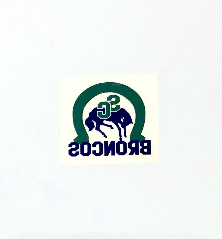 Broncos Temporary Tattoos Broncos Temporary Tattoos
