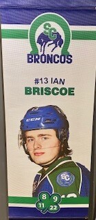2018/19 Ian Briscoe Banner 2018/19 Ian Briscoe Banner