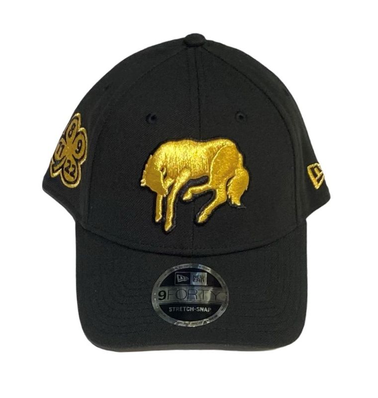 Broncos NYE Curved Hat