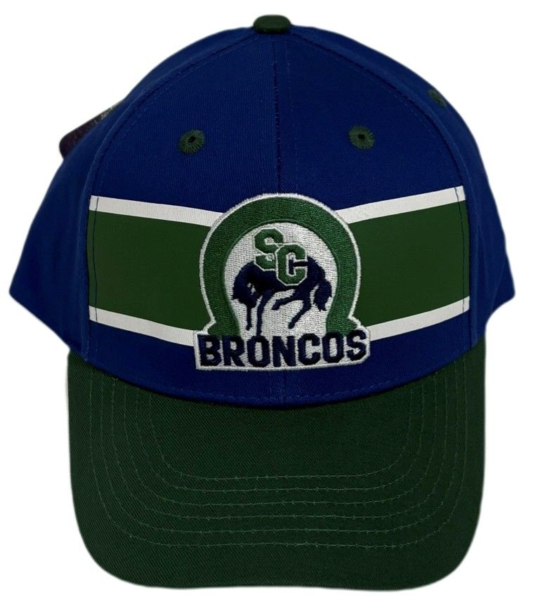 Bardown Post Gamer Hat