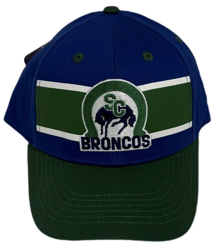 Bardown Post Gamer Hat