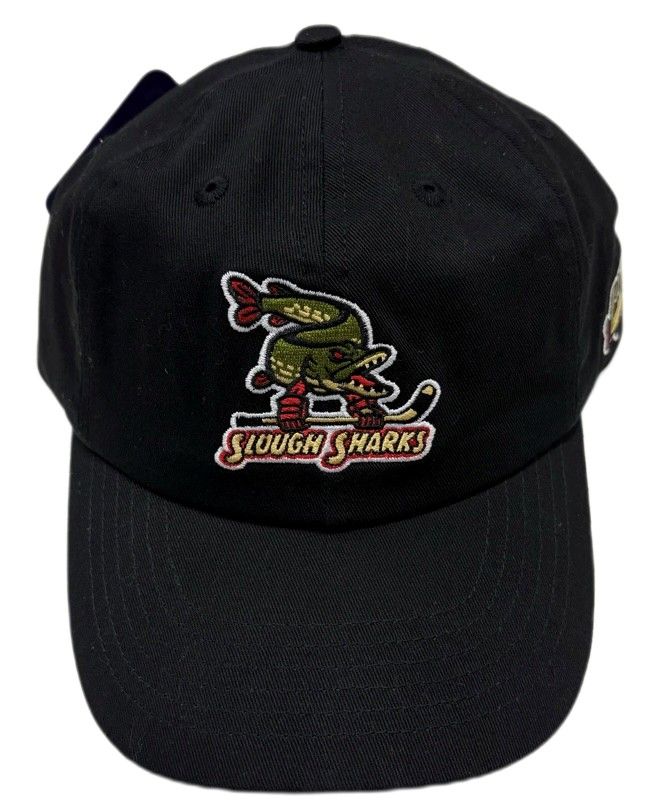 LDS4 Bardown Dad Hat