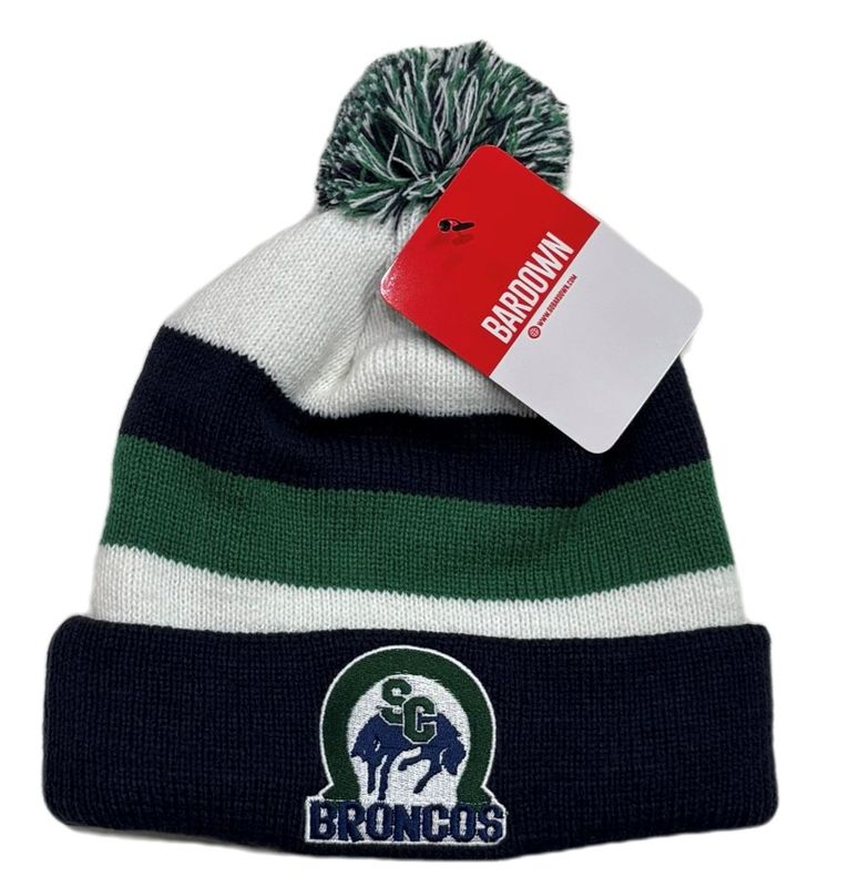 BD Striped Toque