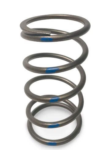 TAPP Primary Clutch Springs, Color: Blue 100/190