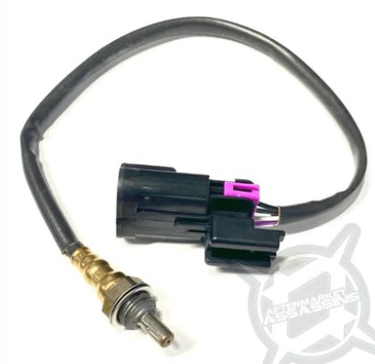 AA Replacement Polaris O2 Sensor - 12mm