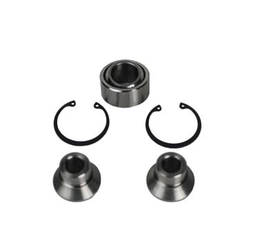 Can-Am X3 Trailing Arm Rebuild Kit