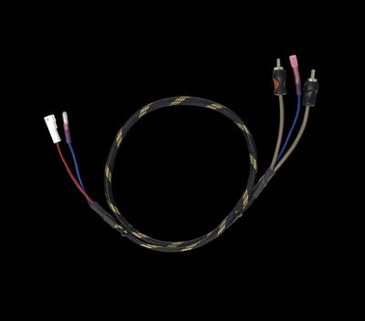Can-Am® Maverick R BRP GO Front &amp; Rear RCA Output Harness + Remote