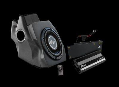 RZR® Pro Series 500W Subwoofer Kit Subwoofer Kit
