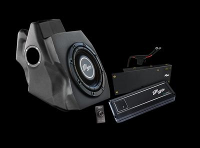 RZR® Pro Series 1000W Subwoofer Kit Subwoofer Kit