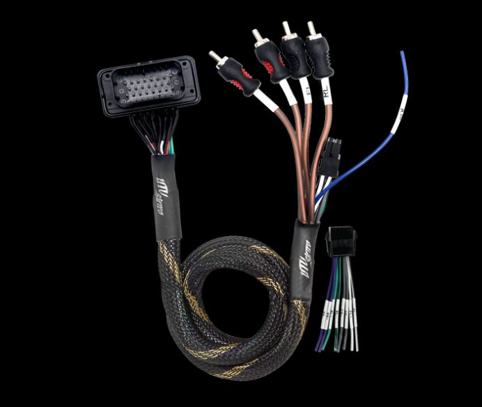 RZR® Pro Series Ride Command Front &amp; Rear RCA Output + Speaker Wire &amp; Remote