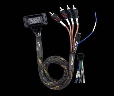 RZR® Pro Series Ride Command Front &amp; Rear RCA Output + Speaker Wire &amp; Remote