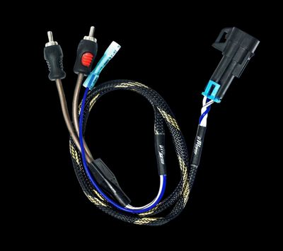 RZR® Pro Series Ride Command Subwoofer RCA Output Harness + Remote