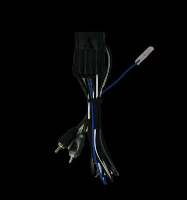 RZR® Ride Command Amplifier Harness - No Remote Wire