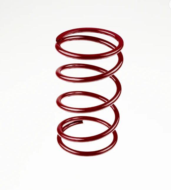 Spring (Maroon)- RZR Pro Primary Spring -