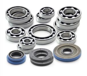 TRANS BEARING &amp; SEAL COMBO W/SHIFT PAWL - 2014-2023 RZR XP 1000