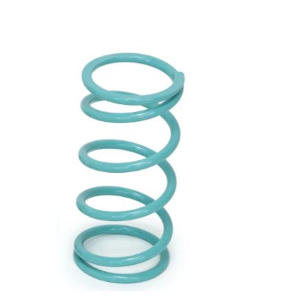EVP Turquoise Secondary Spring for Polaris 2021 XP Turbo