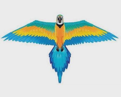 Rainforest Macaw Nylon Kite-61&quot;