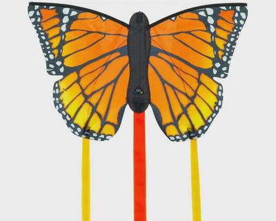 Monarch &quot;R&quot; Butterfly Kite