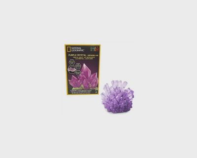 Purple Crystal Growing Science Kit