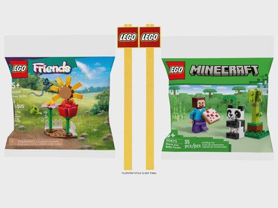 4811U LEGO CLIPSTRIP-Flower and Minecraft Panda Impulse