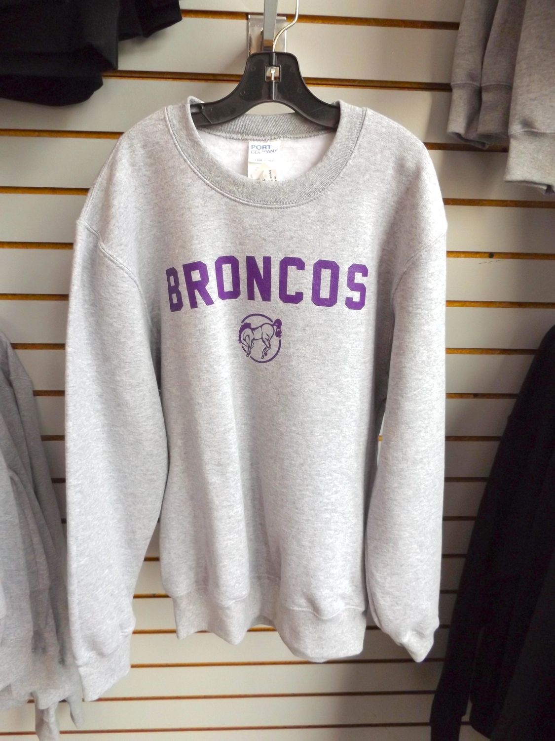 Bronco Youth Sweater