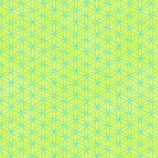 Everyday Magic - Blue on Green Fat Qtr