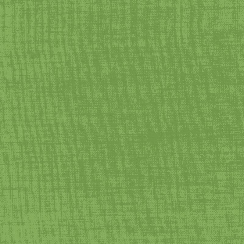 Building Block Basics Texture Crocodile Fat Qtr