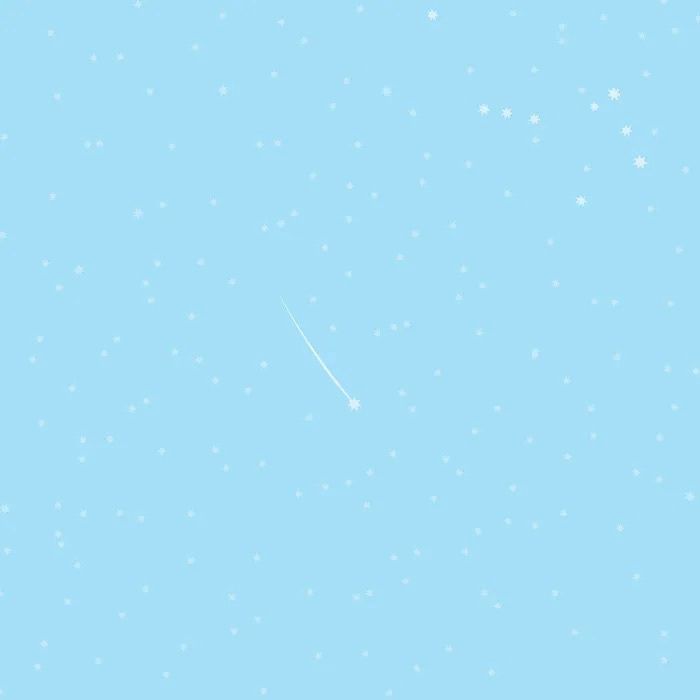 Bush Celebration - Blue Stars