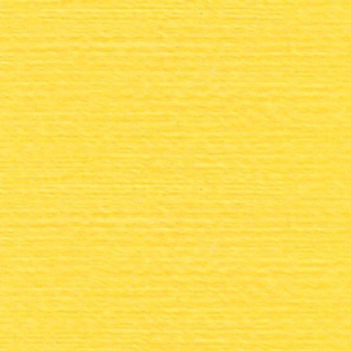Rasant X0120 Yellow 1000m